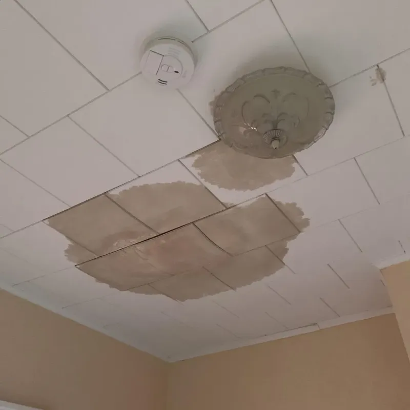 Ceiling Water Damage Repair in Painted Post, NY